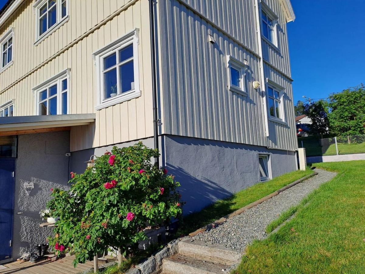 Warm And Cozy With Panoramic View Above The Center * Tromsø